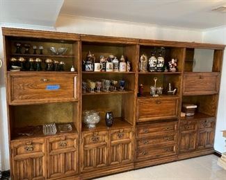 Entertaiment storage unit