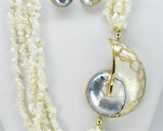 Tiger Natural Nautilus Necklace and Earrings