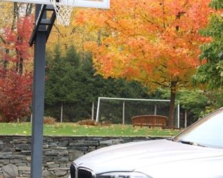 Soccer net: Professional $200