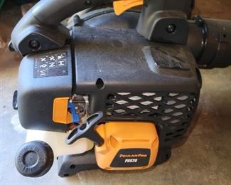 Poulon gas blower