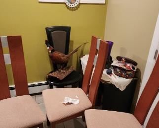 Beautiful contemporary chairs