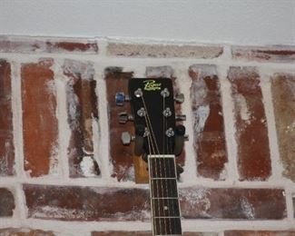 Rogue steel string guitar, Rogue mandolin, Irin banjo, electric cigar box guitar and a violin.  