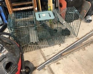 Animal Trap 