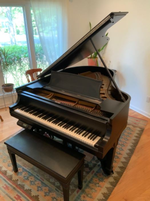 Steinway Player Piano O 198519