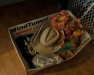 Halloween/fall decor