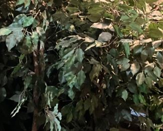 Artificial trees & Christmas trees - will be outside on deck during sale