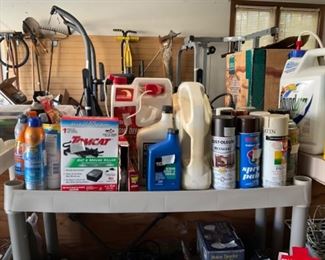 Miscellaneous in garage