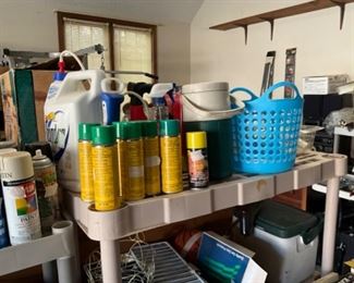 Miscellaneous in garage