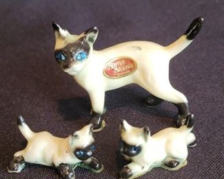 China Siamese Cats