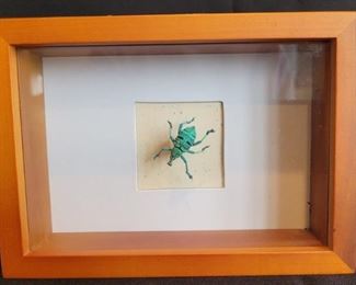 Framed Weevil