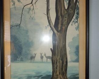 Deer picture  $20