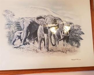 Framed Elephant Art