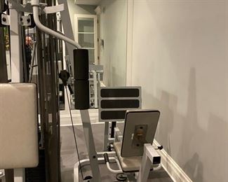 Hoist multi-stack home gym