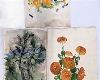 Three Antique Original Watercolors of Florals / Australian Pine, One Signed Violet McCluskey
