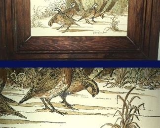 Bird Print -- Robert Q. Johnson