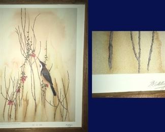 1980, #180 of 500 Eastern Spinebill