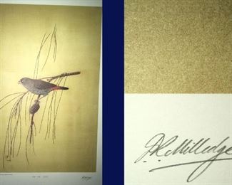 1980, 180 of 500, 1980 Firetail -- Signed