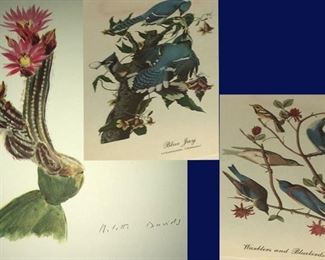 Cactus Flower - Signed, Blue Jays, Warblers & Bluebirds