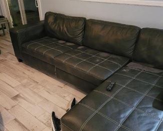 Leather Sofa Den