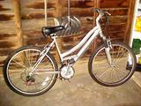 great condition Schwinn bike