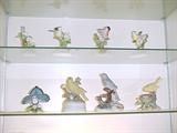 Bird collection including Royal Adderley and Andrea