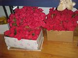 boxes of vintage fabric flowers