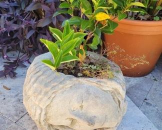 Concrete lady head planter