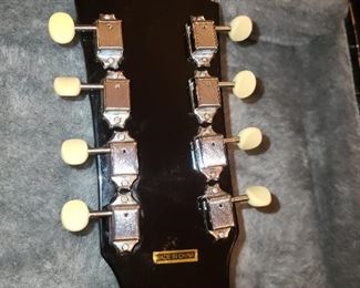 Gold Tone Guitar W/ Case