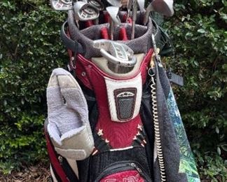 Sun Mountain Golf Bag & Clubs Featuring Ping https://ctbids.com/estate-sale/18696/item/1889399