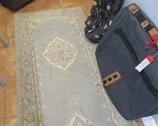 Pottery Barn area runner rug