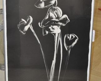 MICHAEL MAZUR MONOTYPE ON PAPER.  TITLE:  CALLA LILY DIPTYCH II.  48" X 32".  Asking Price:  $2400 obo
