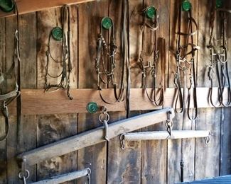 Horse Tack