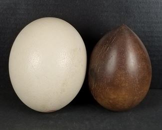 Ostrich Egg and polished coconut