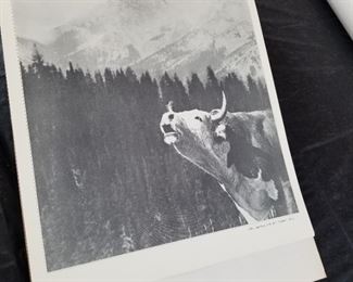 Large Book with old Wyoming photos