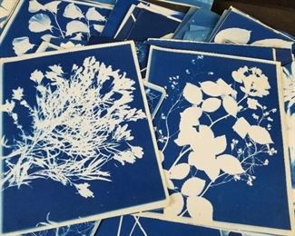 Antique Plant Themed Cyanotypes 