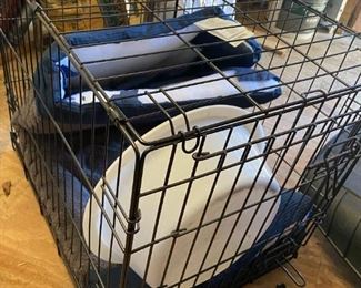 wire pet carrier, cage 