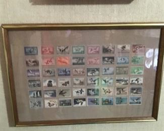 Framed Duck Stamps