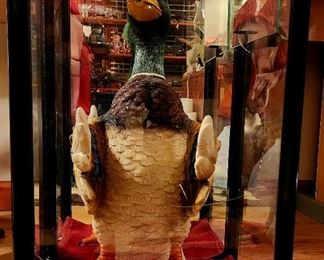Duck statue under glass