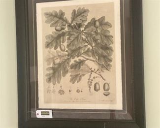 Measures 42” x 36”.