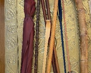 Canes and Umbrellas