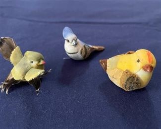 We love these tiny bit baby birds! 