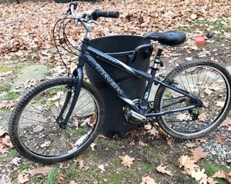 Trek Mountain bike