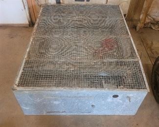 Heated cage for Chicks