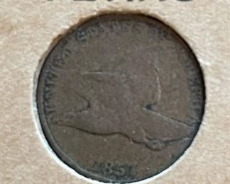 Flying Eagle and Indian Head Penny Collection