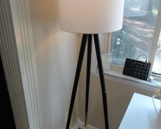 There are 2 of these Tripod 60" Floor Lamps