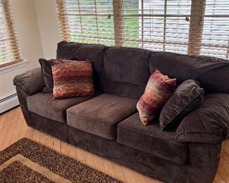 Soft Plush Sofa with Pull Out Bed