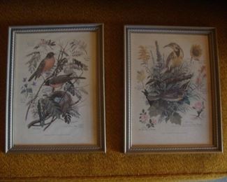 Arthur Singer  bird prints