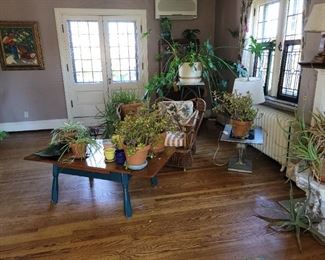 Plants, Tables and Plant Stands
