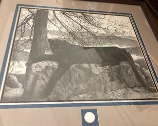 Signed Numbered Panthers Print w/ Silver Coin