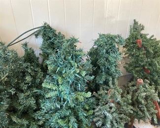 Need a small Christmas tree?